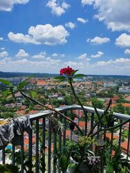 D'Leedon (D10), Condominium #598841541